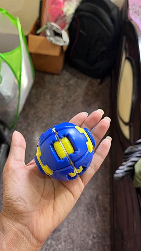Customer review photo by Roshan