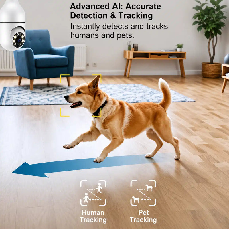 Motion Detection and App Alert
